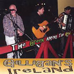 Gilligans Ireland
